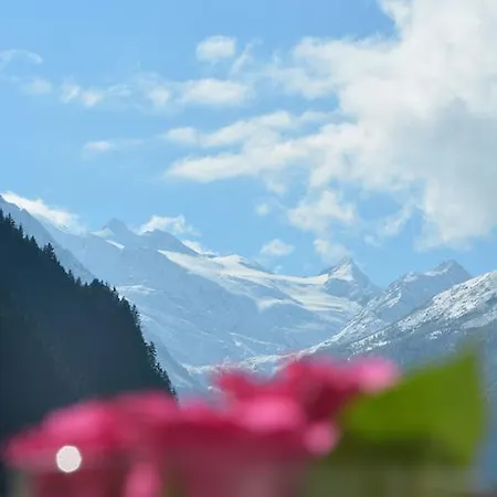 Apartment Alexandra's *