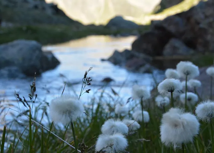 Alexandra's Apartment *