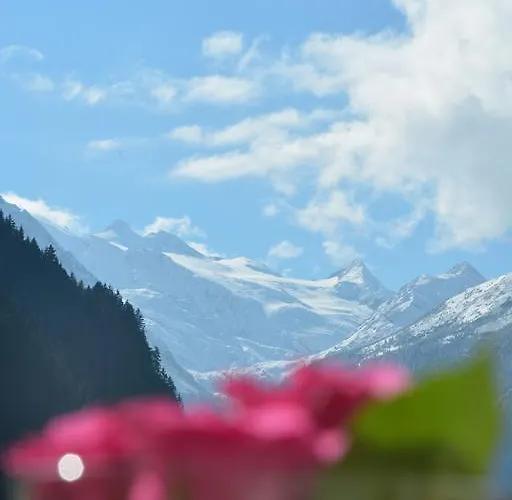 Apartment Alexandra's *